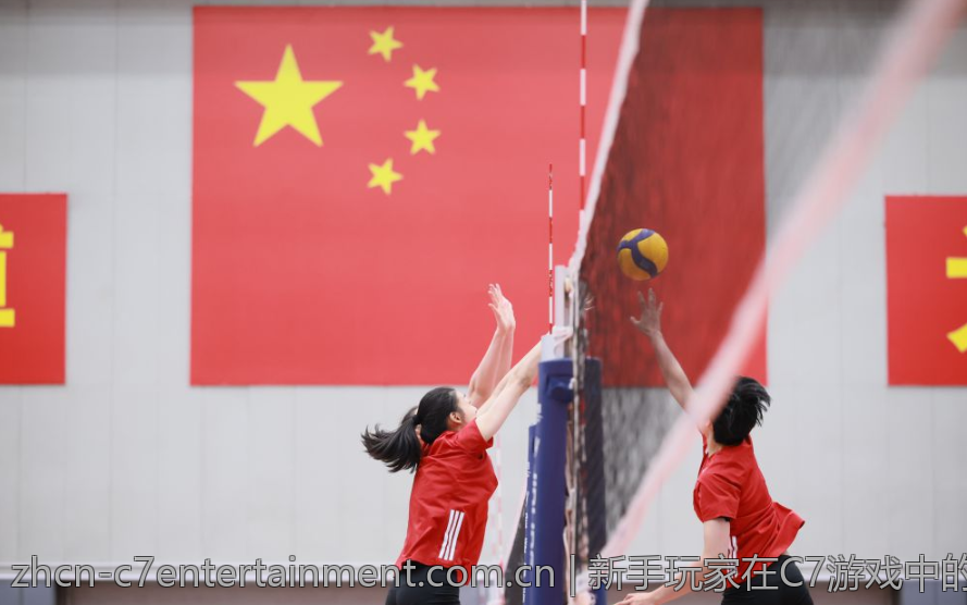 新手玩家在C7游戏中的实用建议